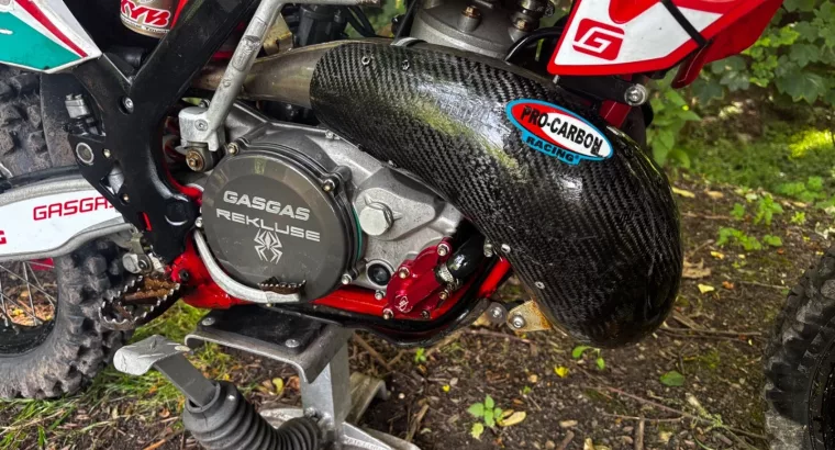 GAS GAS 300 EC